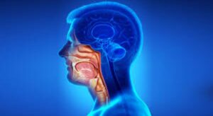 Comprehensive Guide to Head and Neck Cancer Treatment