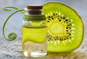 Equipments and Machinery Requirements Report For Kiwi Seed Oil Processing and Plant Setup