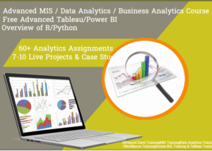 Professional MIS Training Course in Delhi, 100% Job Guarantee, Limited Period Offer “Free Power BI”
