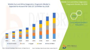 MEA Epigenetics Diagnostic Market Advances with Growing Focus on Early Cancer Detection