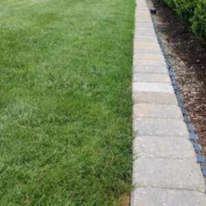 How Often Should You Mow and Edge Your Lawn?