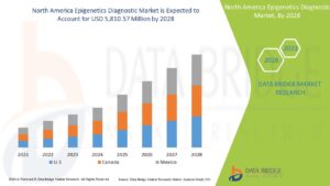 North America Epigenetics Diagnostic Market Advances with Personalized Medicine Trends