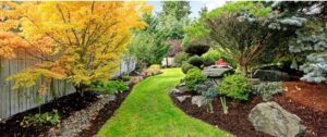 Landscaping in Manassas, VA: Design Your Dream Outdoor Space with Experts