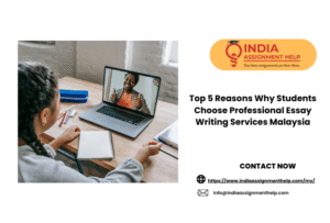 Top 5 Reasons Why Students Choose Professional Essay Writing Services Malaysia