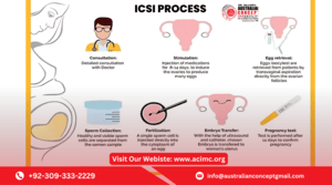 ICSI Procedure