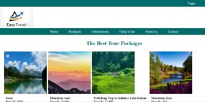 Affordable Cage Van Hire Services in London