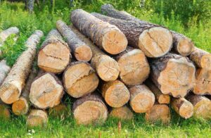 logs