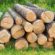 logs