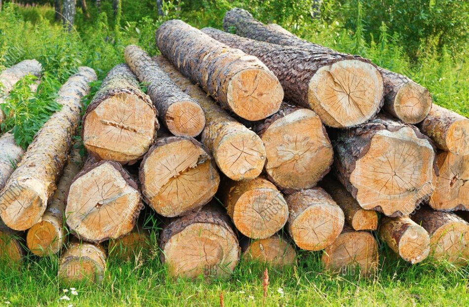 logs
