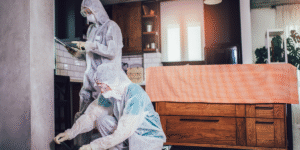 The Ultimate Guide to Safe and Effective Spider Control in Coquitlam