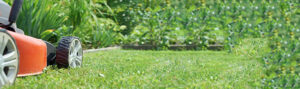 Professional Lawn Mowing & Commercial Lawn Mowing Services Tailored for You