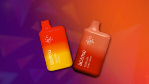 Cheapest Elf Bar BC5000 Flavors Online