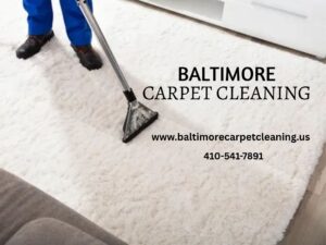 What’s the Difference Between DIY and Professional Pet Odor Removal in Baltimore