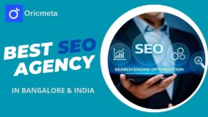 Best Search Engine Optimization Agency | Oricmeta
