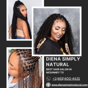 How You Can Make A Personal Statement With Afro Hair Braids – Diena Simply Natural
