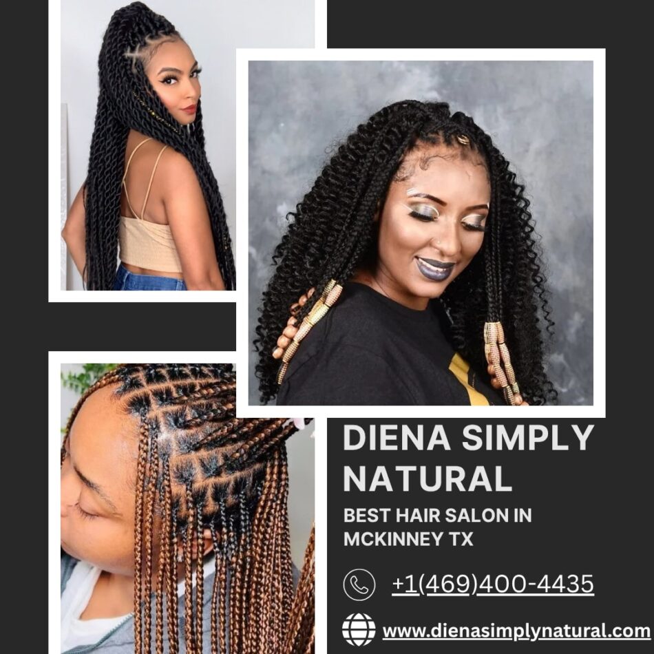 How You Can Make A Personal Statement With Afro Hair Braids – Diena Simply Natural