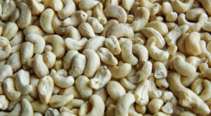 Cashew Nuts