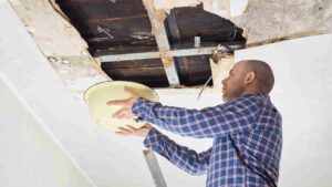 Where to Report Severe Ceiling Water Damage in Brooklyn Rental Units