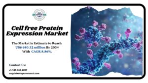 Cell free Protein Expression Market Size, Demand and Analysis 2034