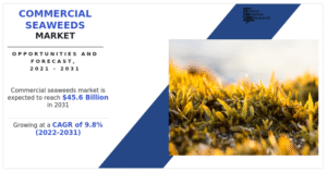 Commercial Seaweeds Market Outlook, Size, Growth Opportunities and Industry Analysis by 2031