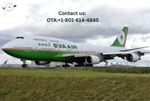 How to Get EVA Airways Upgrade? Top Ideas Are Here!