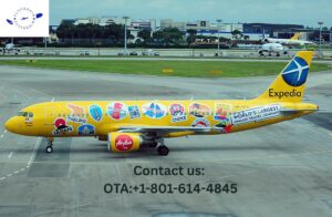 How do i get a human on Expedia?- Many Ways Are Here!