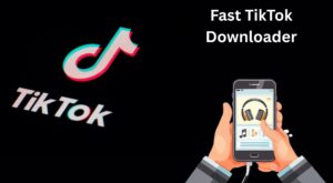TikTok Downloader