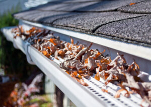 Top-Rated Gutter Installation And Maintenance Company in Miami