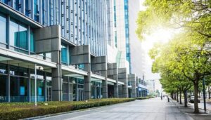 Expert Hurricane Window and Door Installation