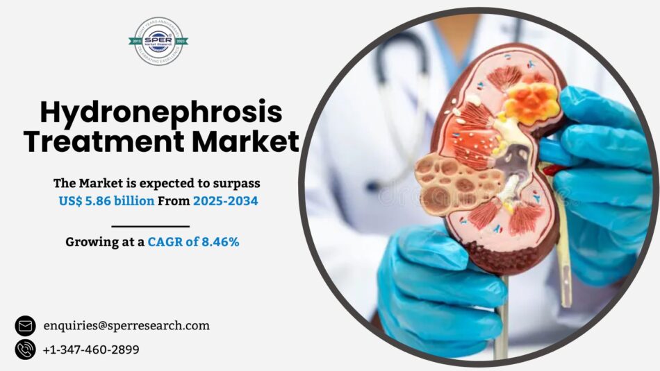 Hydronephrosis Treatment Market Share and Growth Driver 2034
