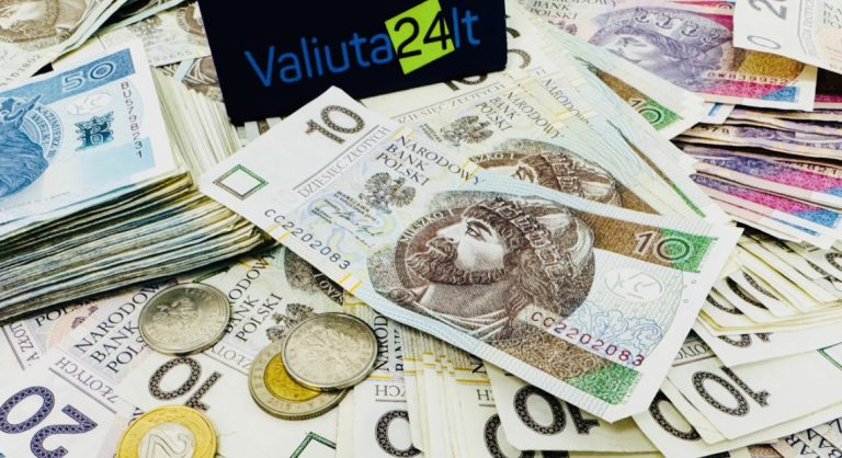 Kaip konvertuoti dolerius į eurus Kaune?