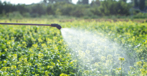US Crop Protection Chemicals Market Size, Share & Trends 2034