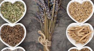 ashwagandha benefits for men’s testosterone levels