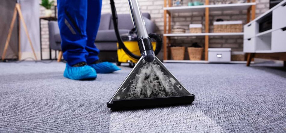 Complete Guide to Carpet and Upholstery Cleaning Services in Andover, MN