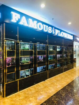 What are the different types of aquariums available for entertainment and researches? – Famous Pets