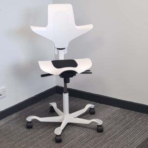How an Ergonomic Home Office Chair Can Prevent Back and Neck Pain