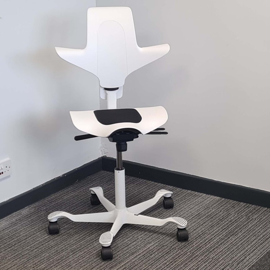 How an Ergonomic Home Office Chair Can Prevent Back and Neck Pain