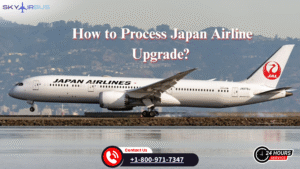 Looking for a Japan Airlines upgrade- Get all Easy Options!