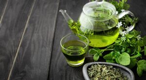 holistic health labs​