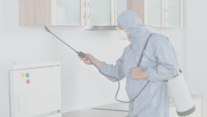 Pest Control Singapore | Trusted Local Experts