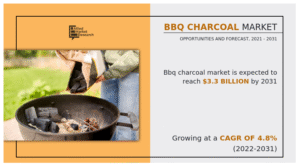 BBQ Charcoal Market : Everything You Need To Know!!