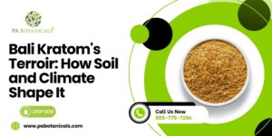 Bali Kratom’s Terroir: How Soil and Climate Shape It