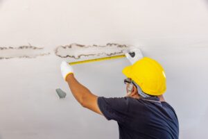 Mold Remediation vs. Mold Removal: What’s the Difference and Why It Matters