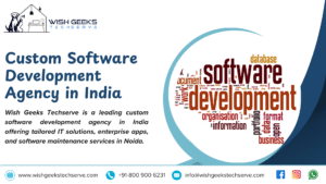 Custom Software Development Agency India Delivering Custom Apps for Modern Businesses: Wish Geeks Techserve