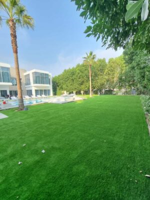 Best Landscaping and Pool Installation Services in Dubai for Luxury Residential Projects