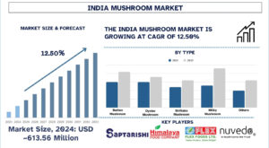 India Mushroom Market