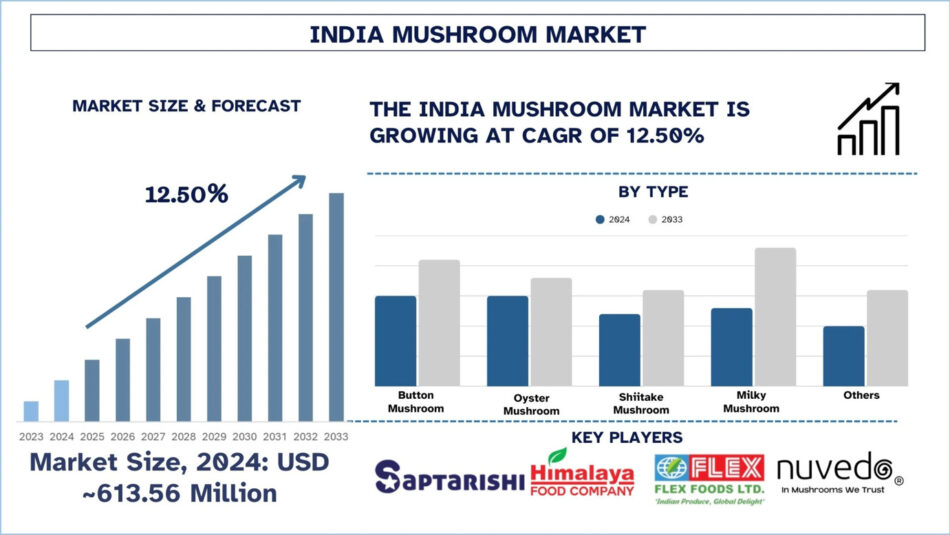 India Mushroom Market