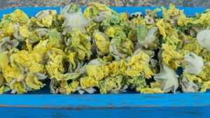 Choosing the Right Marijuana Delivery Service in DC Made Easy