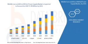 Middle East and Africa DIN Rail Power Supply Market Business Shares and Outlook 2031