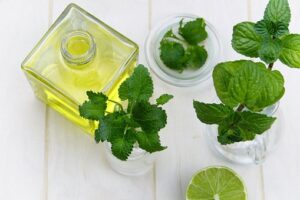 Peppermint Oil Market 2022-2031 : Emerging Trends, Growth Opportunities, Growth And Business Strategies